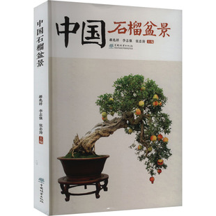 中国石榴盆景郝兆祥,李志强,张忠涛 编9787521928310书籍\/杂志\/报纸/工业/农业技术/建筑/水利（新）