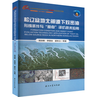 松辽盆地北部源下致密油形成条件与