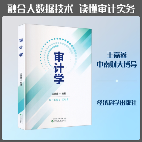 审计学王嘉鑫 编著 编9787521876901书籍\/杂志\/报纸/经济/统计 审计