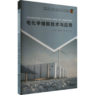 编9787305281402书籍 杂志 报纸 电化学储能技术与应用邢连中 教辅 左帅 教材 大学教材 林权