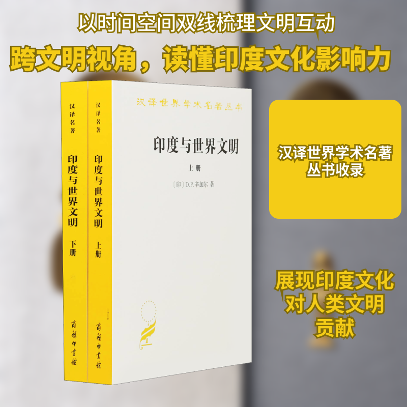 印度与世界文明(2册)(印)D.P.辛加尔(D.P.Singhal) 著 庄万友 等 译9787100167932书籍\/杂志\/报纸/历史/世界史/世界通史