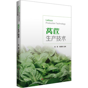 杂志 编9787504780348书籍 报纸 教材 大学教材 莴苣生产技术张更 教辅 冯英娜
