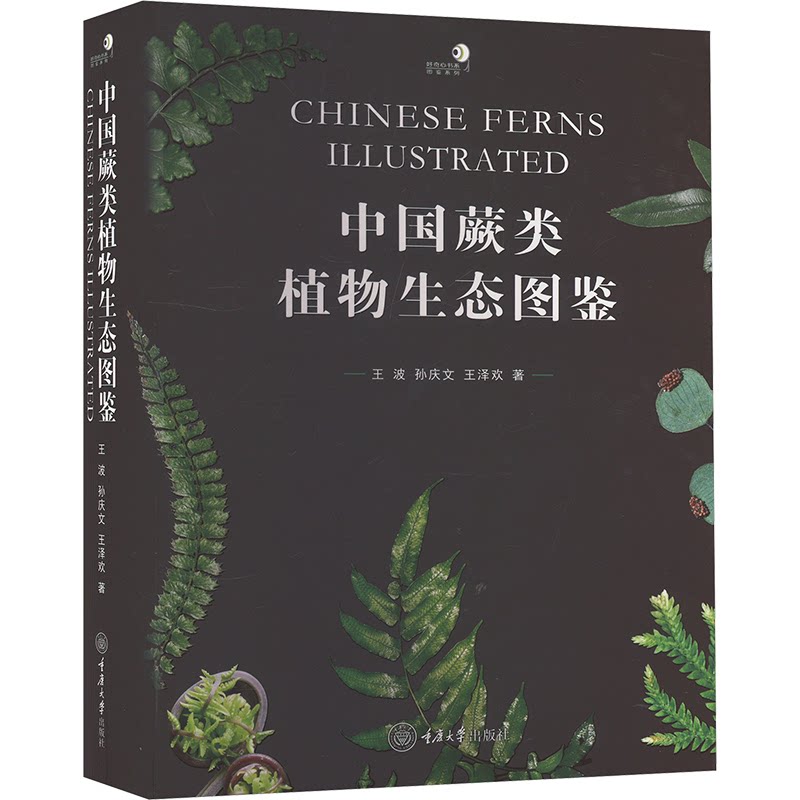 中国蕨类植物生态图鉴王波,孙庆文,王泽欢 著9787568941105书籍\/杂志\/报纸/自然科学/生命科学/生物学