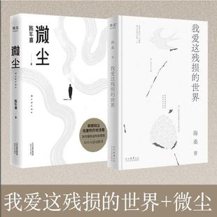 世界 报纸 微尘 杂志 文学 海桑9787551323611书籍 我爱这残损