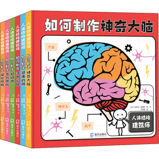 人体结构建筑师(全6册)(英)柯斯蒂·霍姆斯9787550732919书籍\/杂志\/报纸/儿童读物/童书/儿童文学