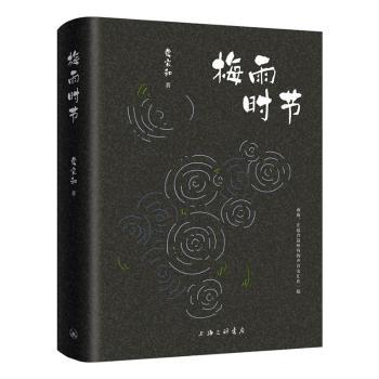 梅雨时节费宜和9787542679765书籍\/杂志\/报纸/文学/现代/当代文学