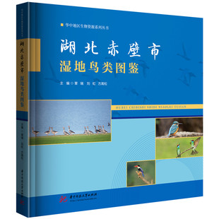 湖北赤壁市湿地鸟类图鉴覃瑞,刘虹,方高松 编9787577207681书籍\/杂志\/报纸/自然科学/生命科学/生物学
