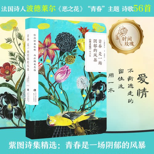 青春是一场阴郁的风暴(法)波德莱尔(Charles Baudelaire) 著；文爱艺 译9787201134130书籍\/杂志\/报纸/文学/外国诗歌