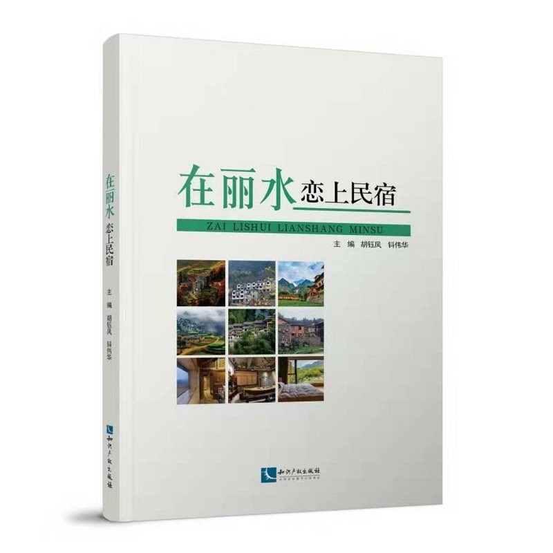 在丽水恋上民宿胡钰凤、钭伟华9787513065344书籍\/杂志\/报纸/经济/各部门经济