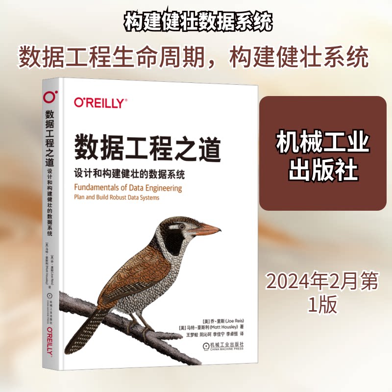 数据工程之道 设计和构建健壮的数据系统(美)乔·里斯,(美)马特·豪斯利 著 王梦蛟 等 译9787111745273