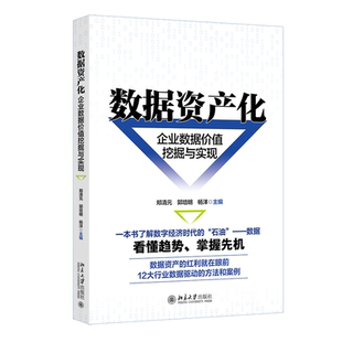 主编 著9787301360484书籍 杂志 数据资产化：企业数据价值挖掘与实现郑清元 经济 杨洋 报纸 经济理论 郭培明