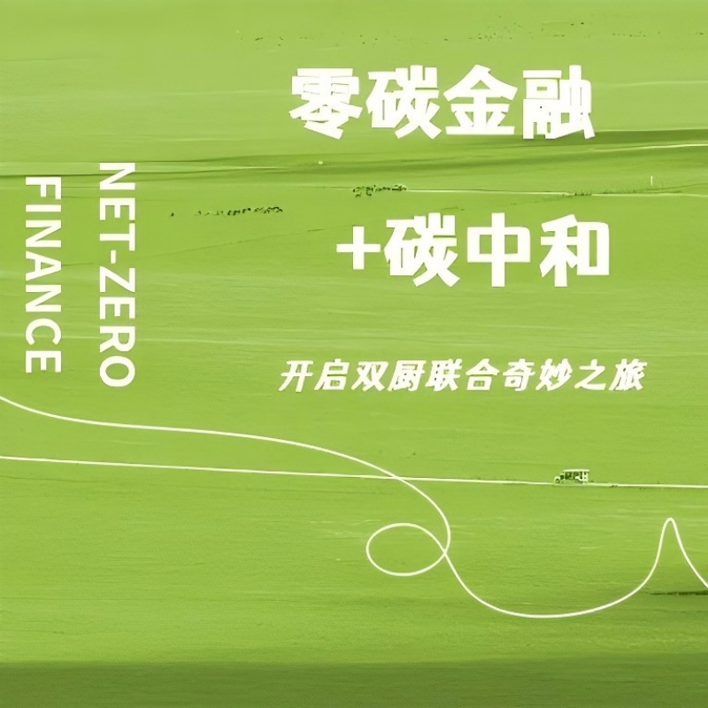 范式变更:零碳金融的长潮与大浪朱民，王遥 著 朱小兰 编9787500172239书籍\/杂志\/报纸/经济/财政/货币/税收,书籍/杂志/报纸,金融,淘宝优惠券,粉丝福利购,淘宝优惠卷