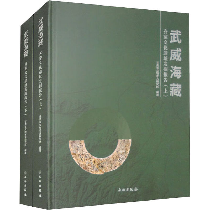 武威海藏 齐家文化遗址发掘报告(全2册)甘肃省文物考古研究所9787501081356书籍/杂志/报纸/历史/文物/考古