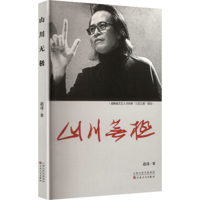 山川无极赵涛 著9787530691670书籍\/杂志\/报纸/文学/现代/当代文学