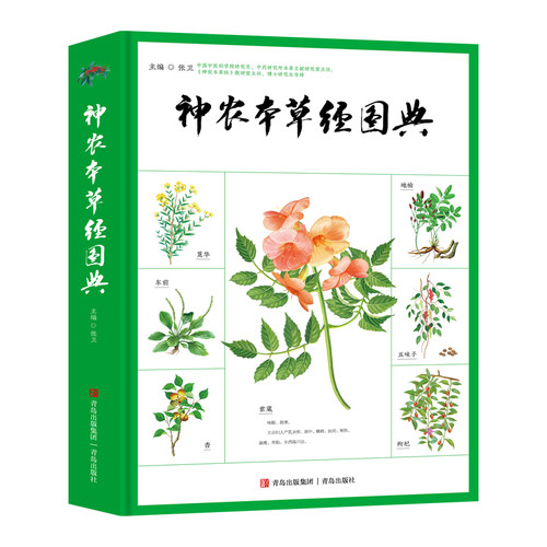 神农本草经图典张卫9787555299981书籍\/杂志\/报纸/医学卫生/中医