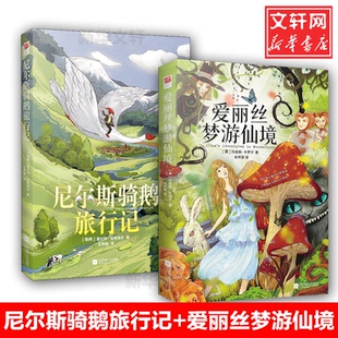 刘易斯·卡罗尔 英 Lewis Carroll 译9787539999203 爱丽丝梦游仙境 著;肖开霖 尼尔斯骑鹅旅行记