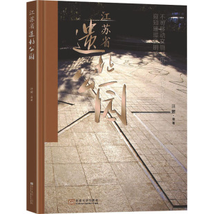 历史 江苏省遗址公园汪辉 报纸 杂志 史学理论 等9787576602722书籍