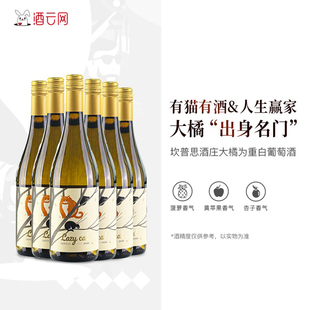 酒云网 Cat坎普思酒庄大橘为重干白葡萄酒 西班牙原瓶进口Lazy