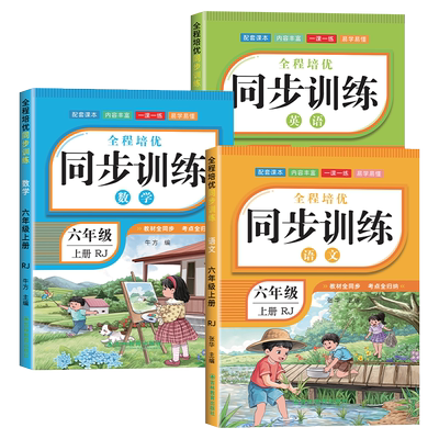 六年级上下册同步练习册人教版