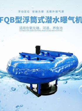 南京厂家供应产品FQB型潜水式浮筒曝气机景观池专业水处理设备