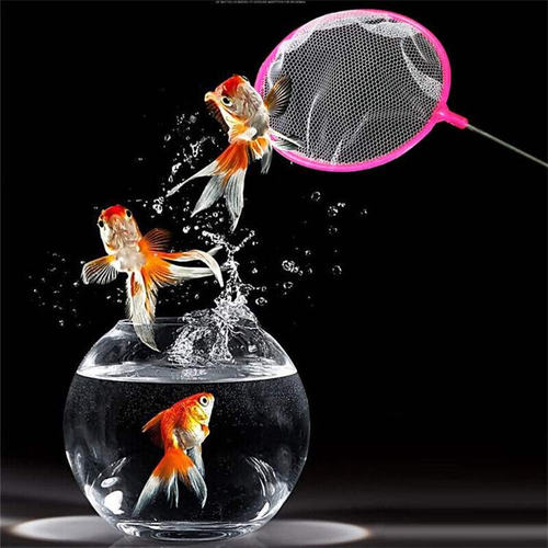 好货Aquarium fish tank fish fishing tank cleaning fish net f