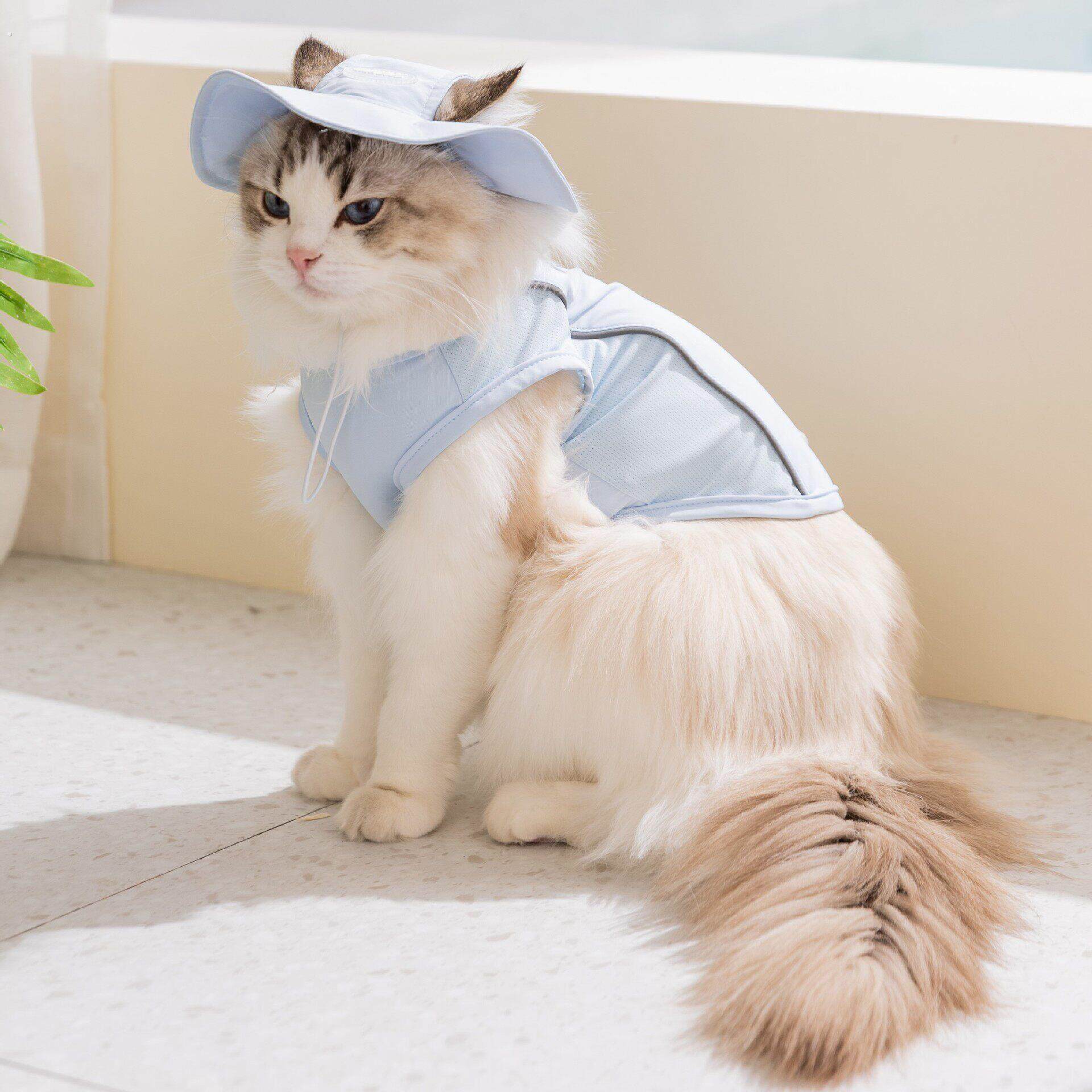 春夏季宠物凉凉衣成幼猫两脚背心狗狗猫咪降温猫衣服