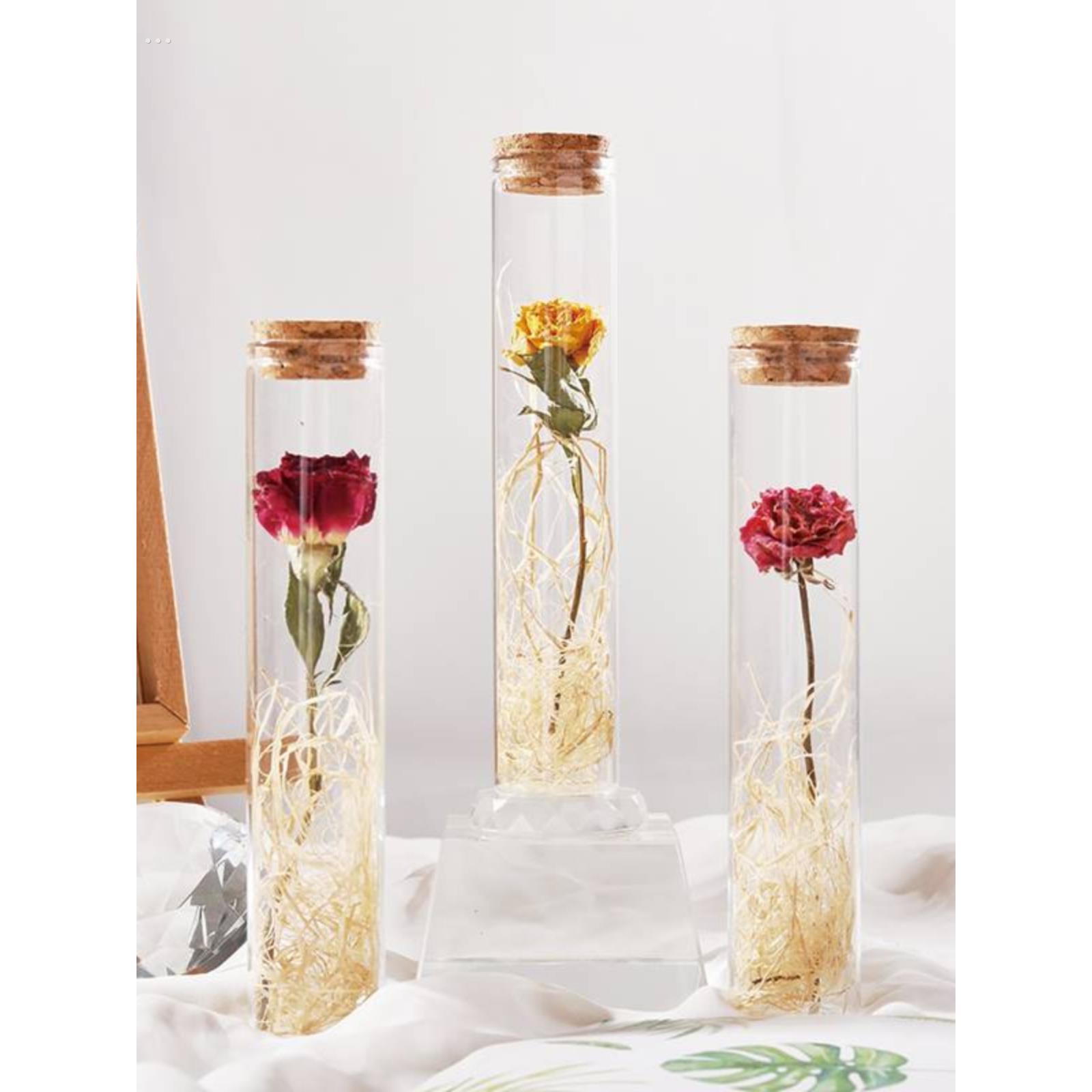 一支玫瑰干花试管单支玻璃罩小花束一朵标本永生花七夕情人节礼物