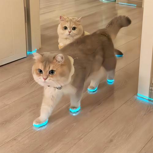 【猫猫的爱鞋】猫咪发光鞋子玩具小狗宠物鞋子间反光条拍视频配饰