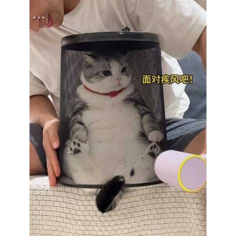 猫咪烘干箱平替家用宠物吹毛烘干机猫咪洗澡吹干神器防抓咬神器