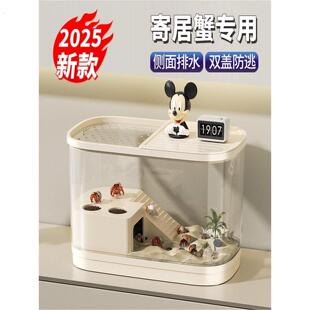 寄居蟹饲养箱小型豪华别墅螃蟹相守蟹专用生态龟缸爬台养乌龟套装