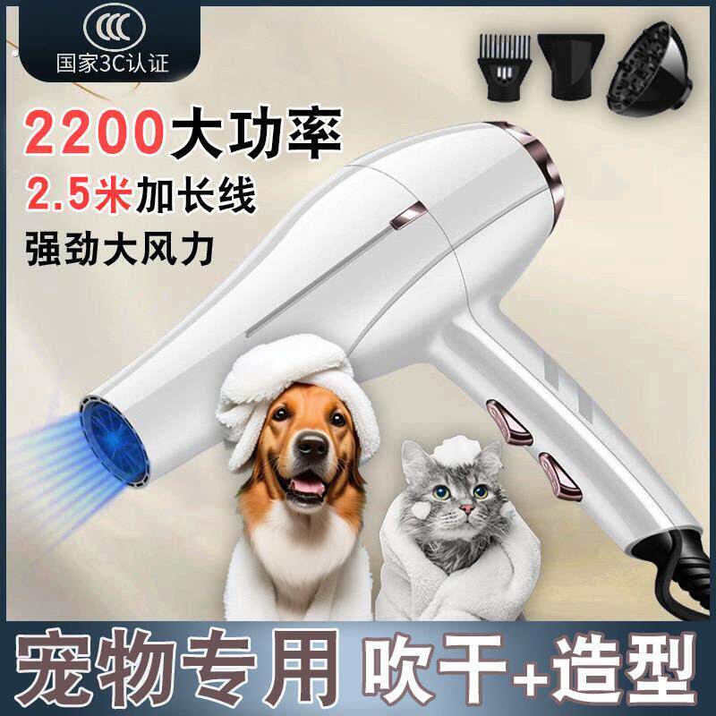 宠物吹风机洗澡专用大功率电吹水机猫咪狗狗家用静音吹毛拉毛神器