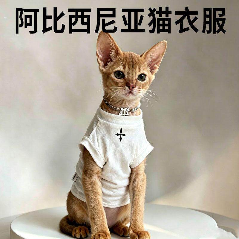 阿比西尼亚猫衣服夏季专用薄款透气空调服防掉毛可爱猫咪服饰用品