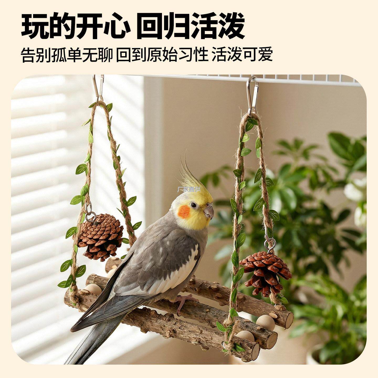 鹦鹉中小型秋千鸟笼l装饰