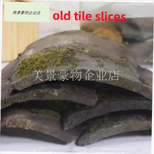 陈年旧瓦片土瓦片农村老房子瓦小瓦老G屋子弧形小青瓦装饰黄缘龟.