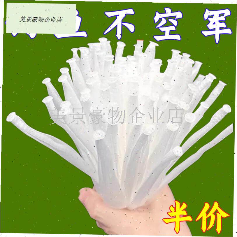 急流钓鱼打窝袋走水专用定点远投颗粒H鱼饵袋撒饵器不溶溪流网兜.