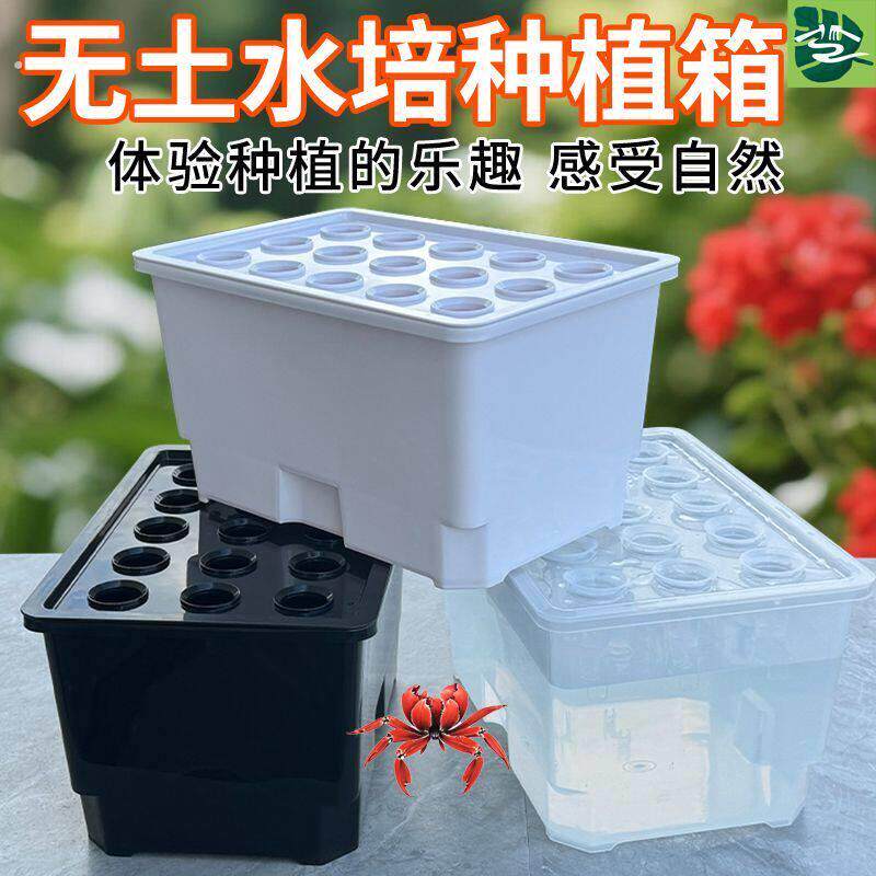 15孔室内水培蔬菜种植箱无土栽培植物育苗盒阳台种菜套装带定植篮
