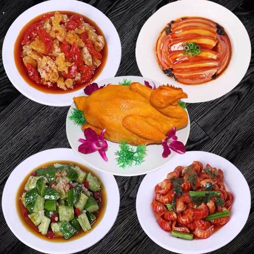 集成灶拍戏仿真菜摆样食品模型假菜样品拍摄视频表演美食道具玩具
