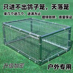 补笼全自动天落笼子撞门捕捉抓收鸽子鸟神器捕笼器加密款网防锈