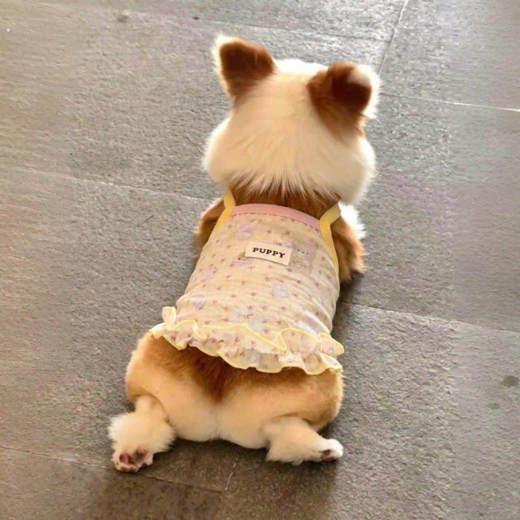 狗狗衣服柯基夏日轻薄防掉毛吊带背心可爱甜美幼猫幼犬家居服睡衣