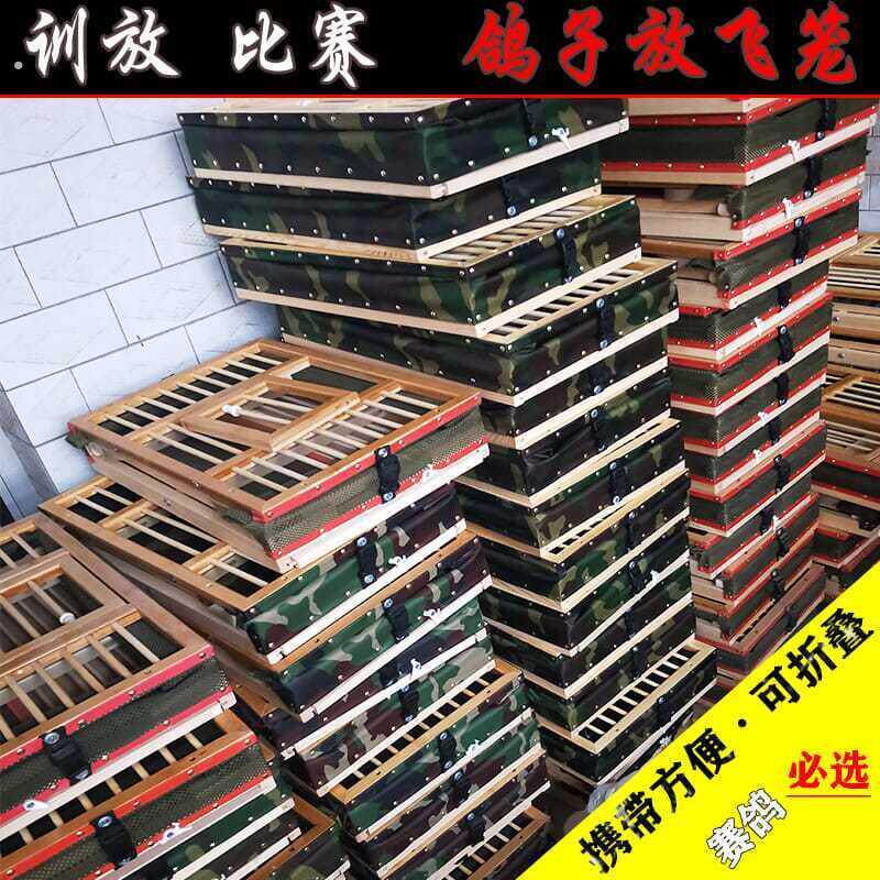 信鸽用品鸽具鸽子放飞笼训放笼折叠赛鸽笼鸽子笼比赛笼塑料训鸽笼