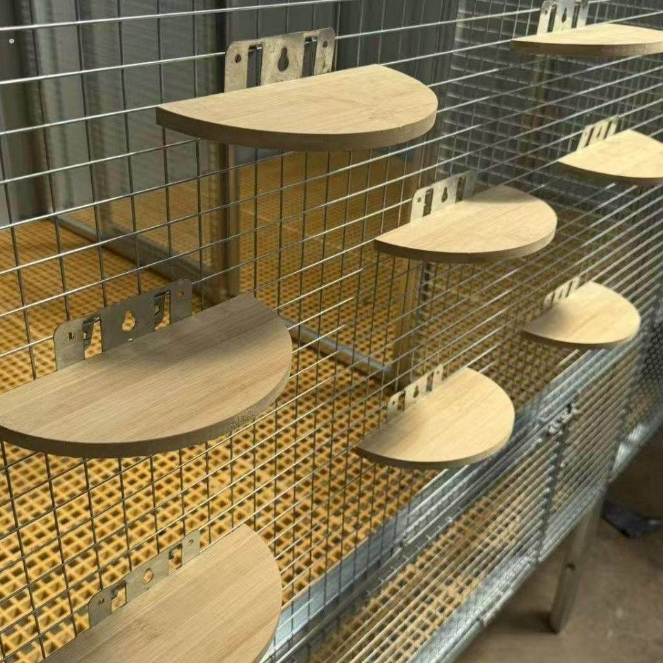 信鸽竹木半圆站架鸽子新款半圆栖架赛鸽休息挂钩用品站架栖息架