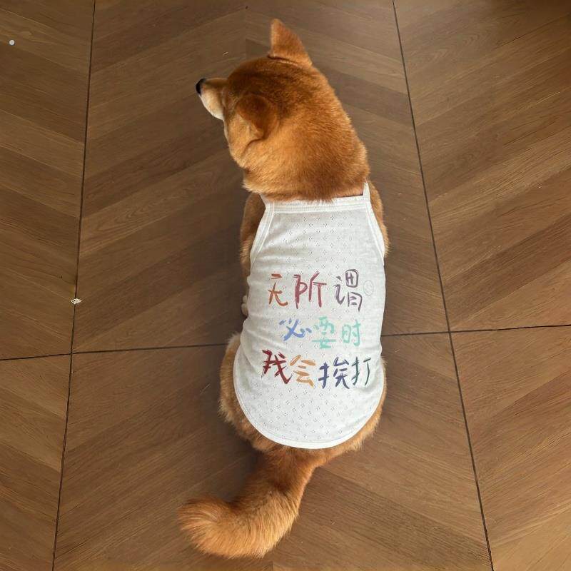狗狗衣服夏季轻薄吸汗透气防晒衣柴犬柯基吊带背心防掉毛家居睡衣