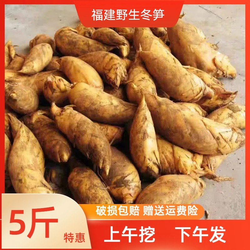 冬笋新鲜现挖带壳冬笋两头尖黄泥楠竹笋小脚竹笋春笋火锅配菜食材