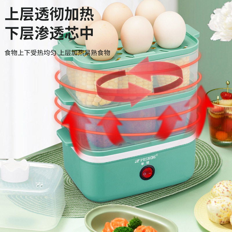 一件代发蒸蛋器家用多功