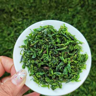 2026四川新茶小叶米芽苦丁茶青山绿水茶头采嫩芽明前绿茶新茶500g
