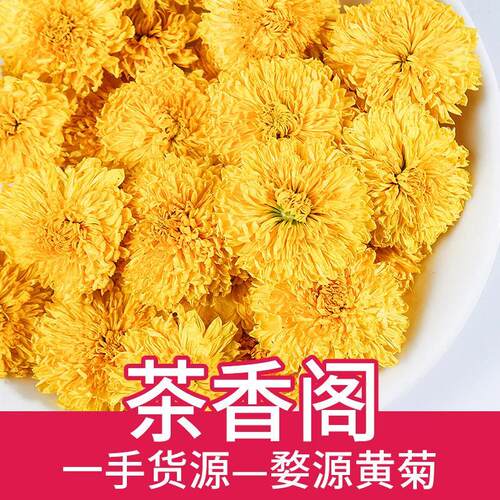 黄菊批发黄山休宁黄菊菊花茶散装500g 新货黄菊花金香菊茶