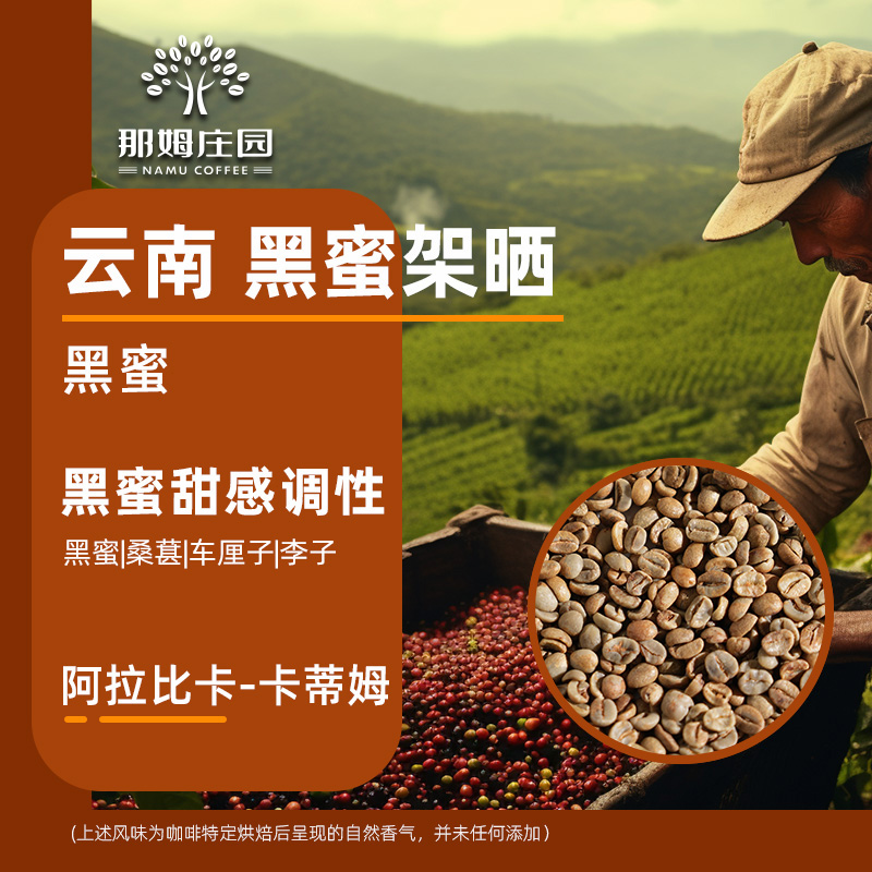 那姆庄园咖啡生豆黑蜜处理卡蒂姆