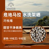新产季 危地马拉薇薇特南果水洗精品咖啡生豆原料可代烘焙 巧悦莓