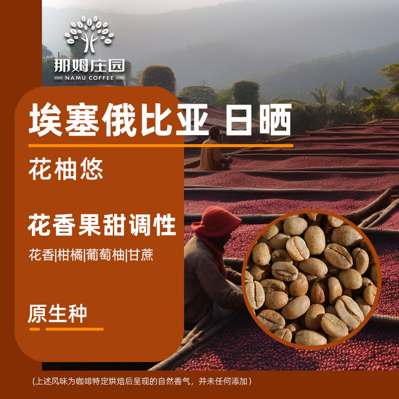新产季花柚悠 埃塞俄比亚日晒耶加雪菲精品咖啡生豆原料可代烘焙