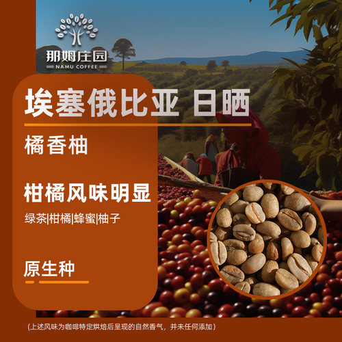新产季埃塞俄比亚西达摩咖啡生豆